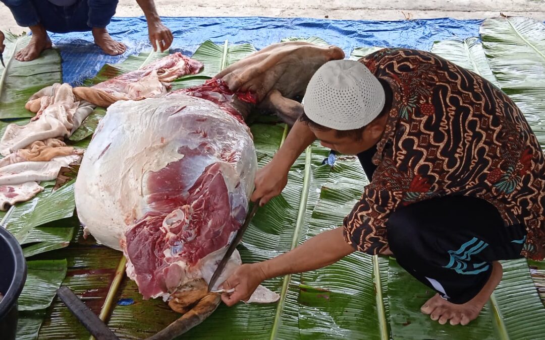PELAKSANAAN IDUL ADHA & PENYEMBELIHAN HEWAN QURBAN DI MASJID BAITURRAHMAN DESA SERIWA’U