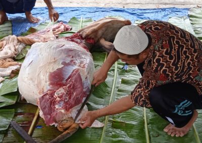 PELAKSANAAN IDUL ADHA & PENYEMBELIHAN HEWAN QURBAN DI MASJID BAITURRAHMAN DESA SERIWA’U